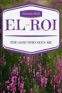 el roi