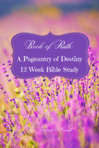 Book of Ruth: 12-Week Bible Study~ New Book 