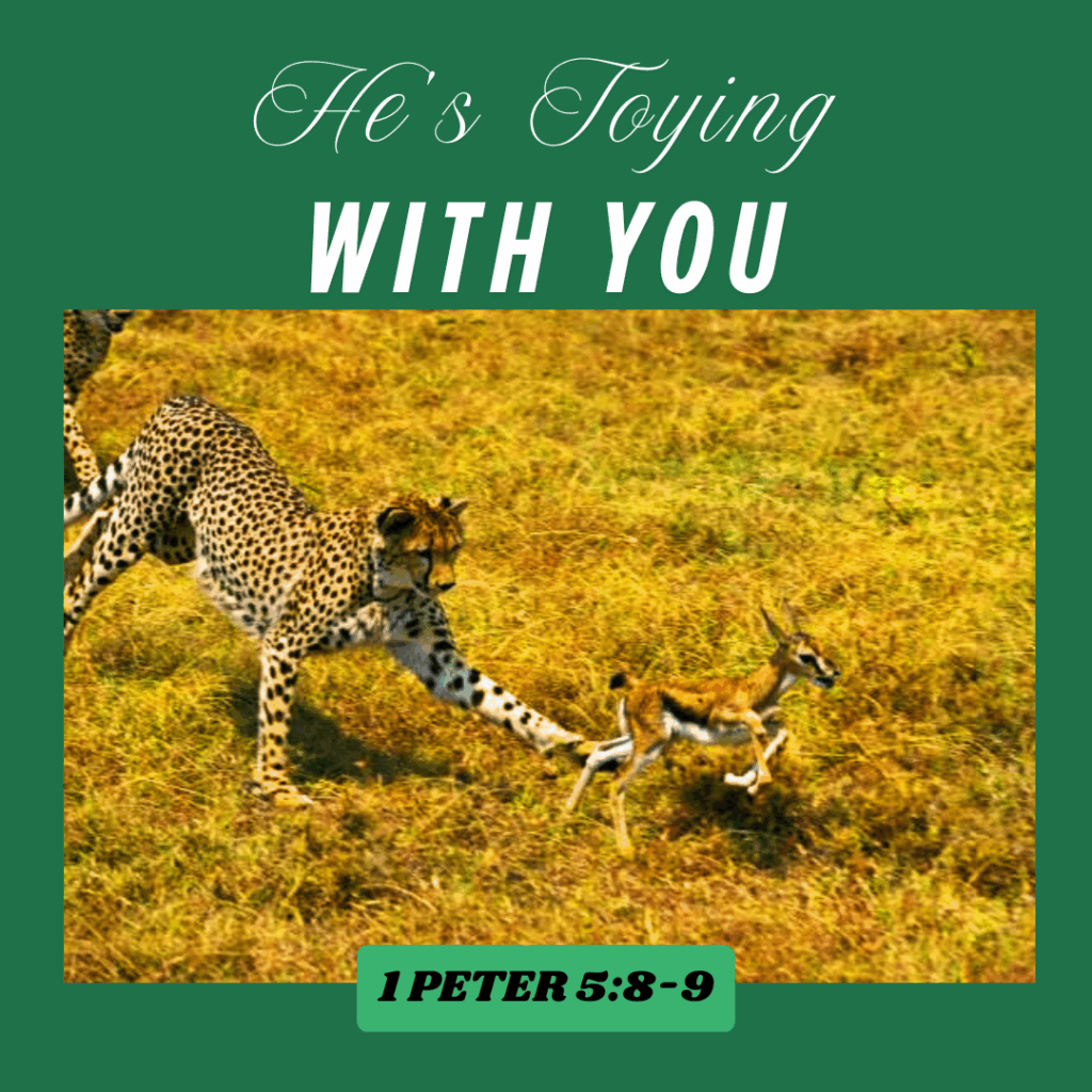 He's toying with you